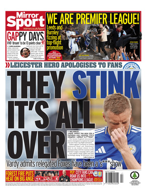 Mirror SPORT