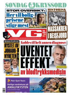 Verdens Gang (VG)