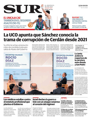 Diario SUR