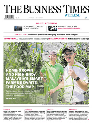 The Business Times (Singapore)