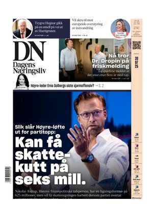 Dagens Næringsliv (DN)