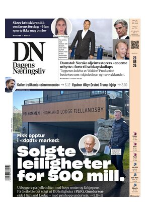 Dagens Næringsliv (DN)