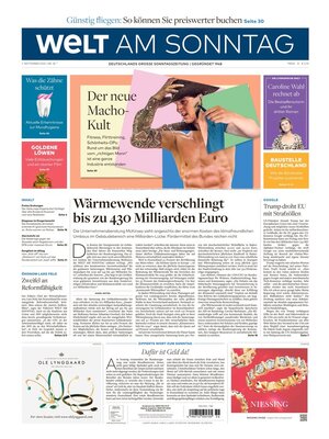 Die Welt