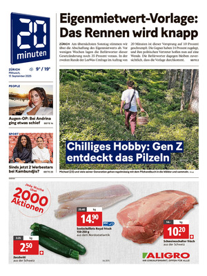 20 Minuten
