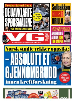Verdens Gang (VG)