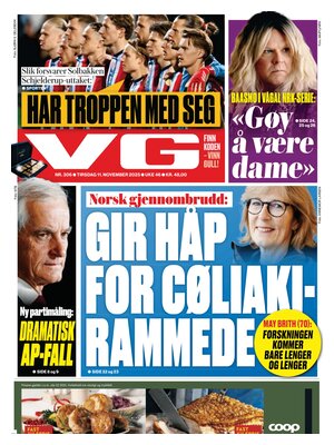 Verdens Gang (VG)