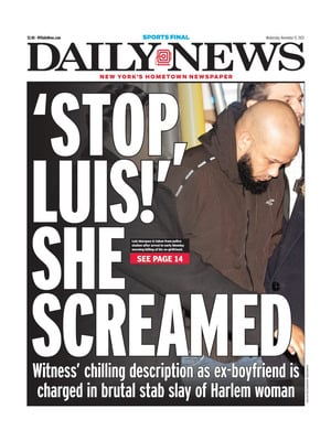Daily News (New York)
