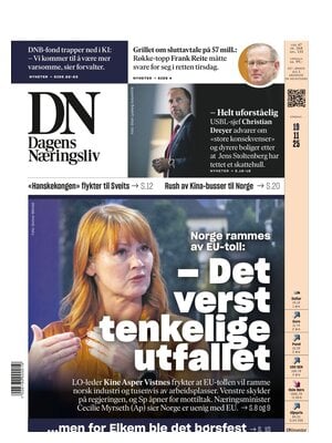 Dagens Næringsliv (DN)