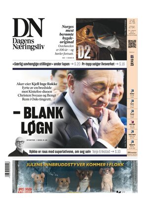 "Dagens Næringsliv (DN)" Front Page