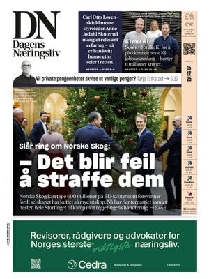 Dagens Næringsliv (DN)